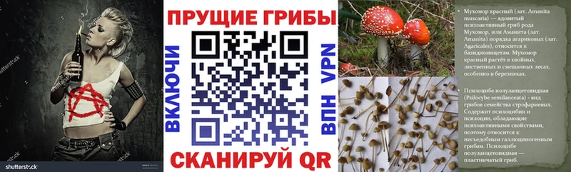 Псилоцибиновые грибы ЛСД  Купить закладки  Корсаков 